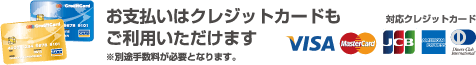 お支払いはクレジットカードもご利用いただけます※別途手数料が必要となります。
