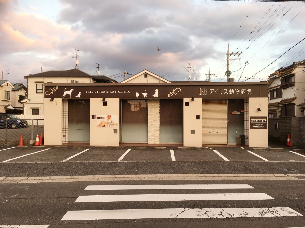 アイリス動物病院