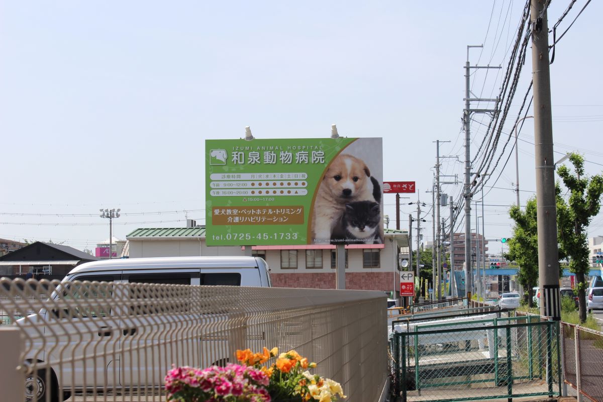 和泉動物病院